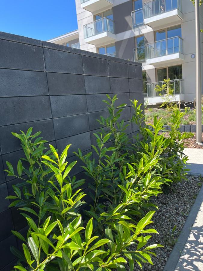 Apartament Gaja ชวีโนวิชแจ ภายนอก รูปภาพ