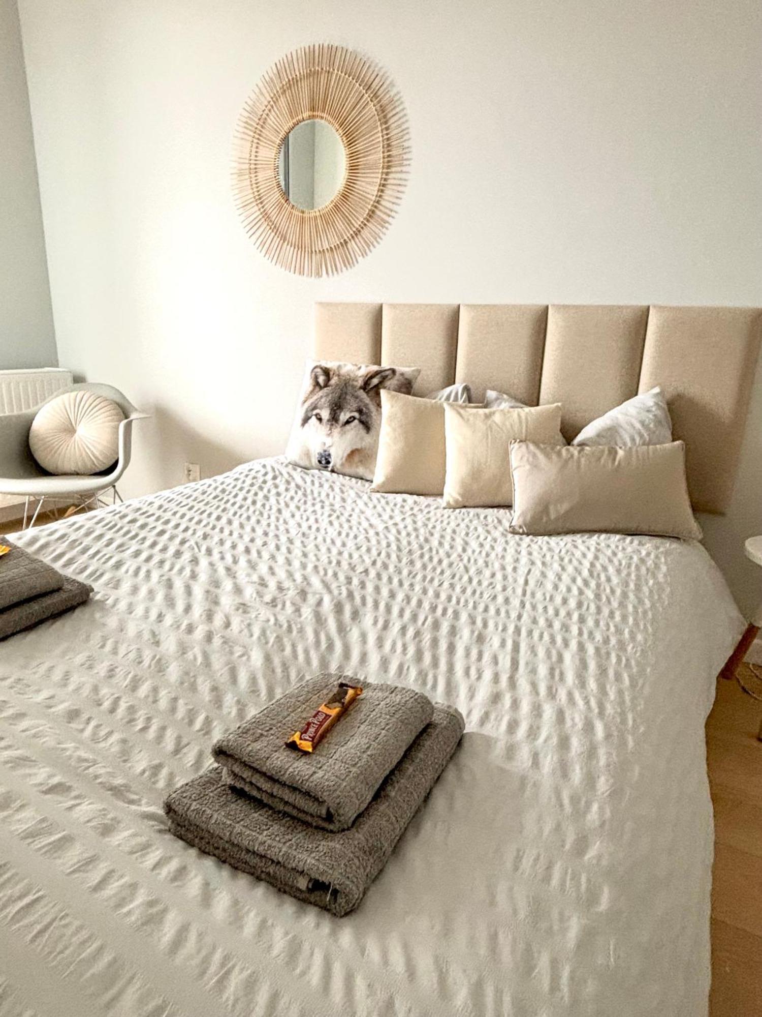 Apartament Gaja ชวีโนวิชแจ ภายนอก รูปภาพ